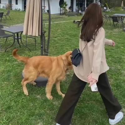 风流苏仙